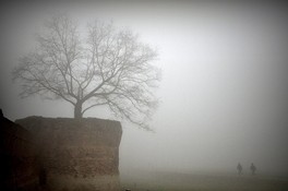 03_1024px-Walls_of_Ferrara_shrouded_in_heavy_fog.jpg